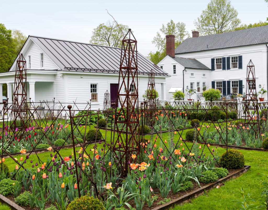 The dovecote garden with a tall iron tuteurs, with tulips and fritillaria; climbing Eden roses bloom later in the season. 