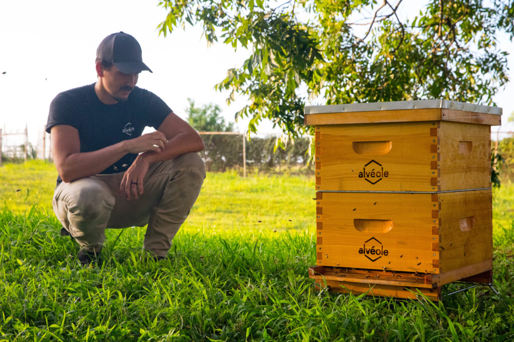 Bees find a new place to live and work at East River.