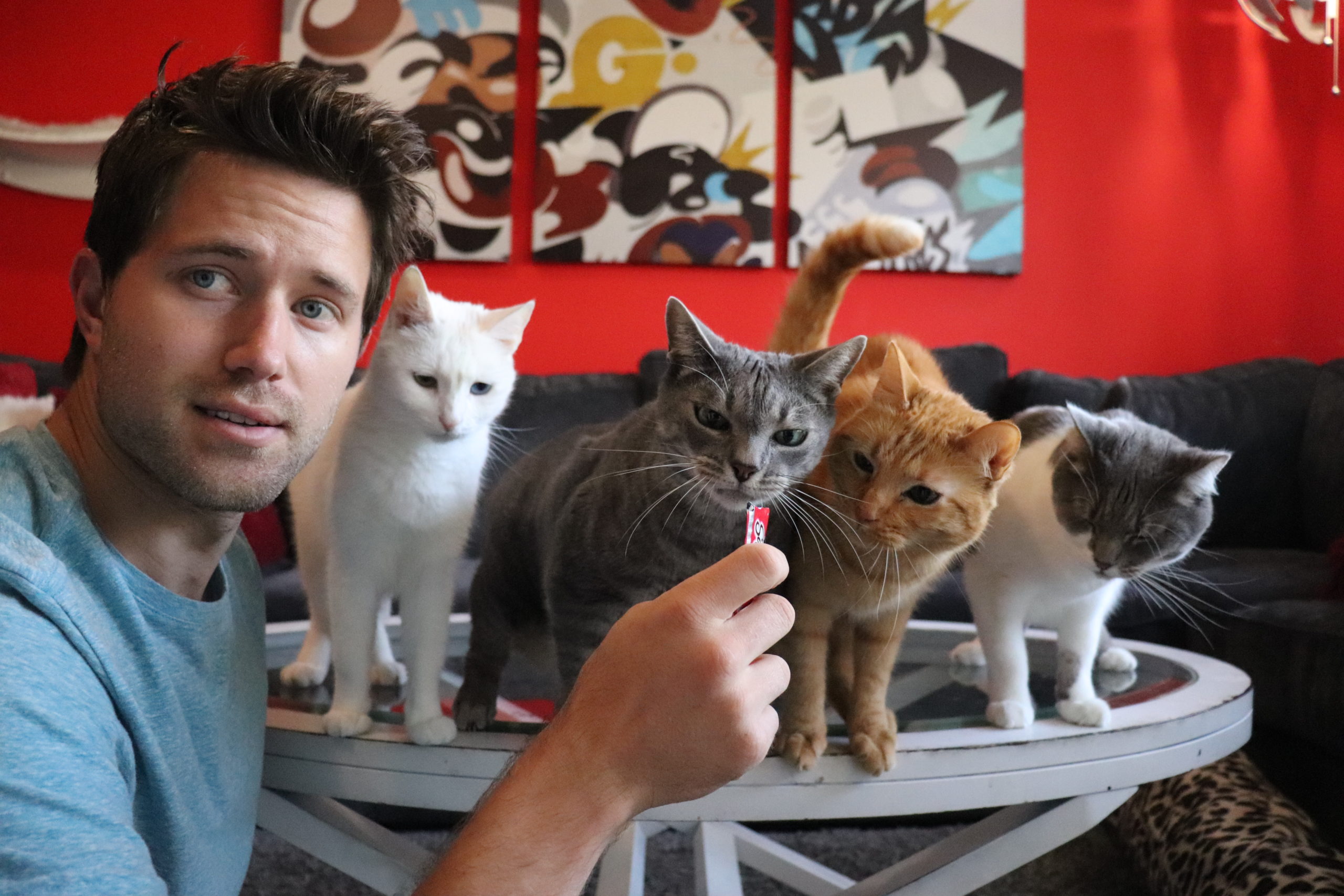 Tabby Dating App