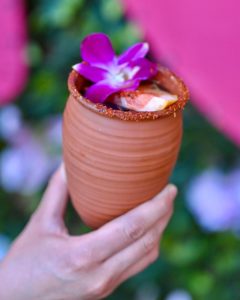 Ocho Latin Cuisine Dallas