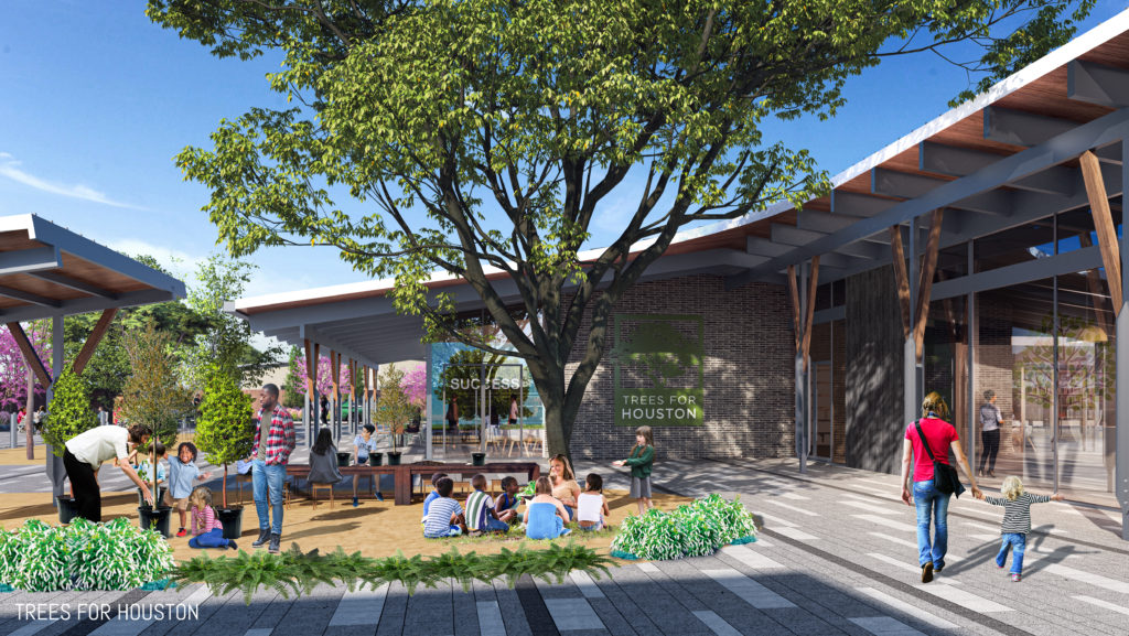 Trees for Houston new home