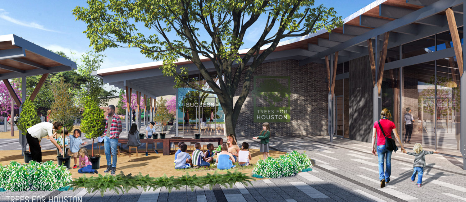 Trees for Houston new home