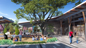 Trees for Houston new home