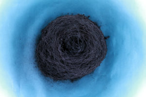 Xxavier Edward Carter’s from the exhibit “Anh Yēu Em,” at Ex Ovo