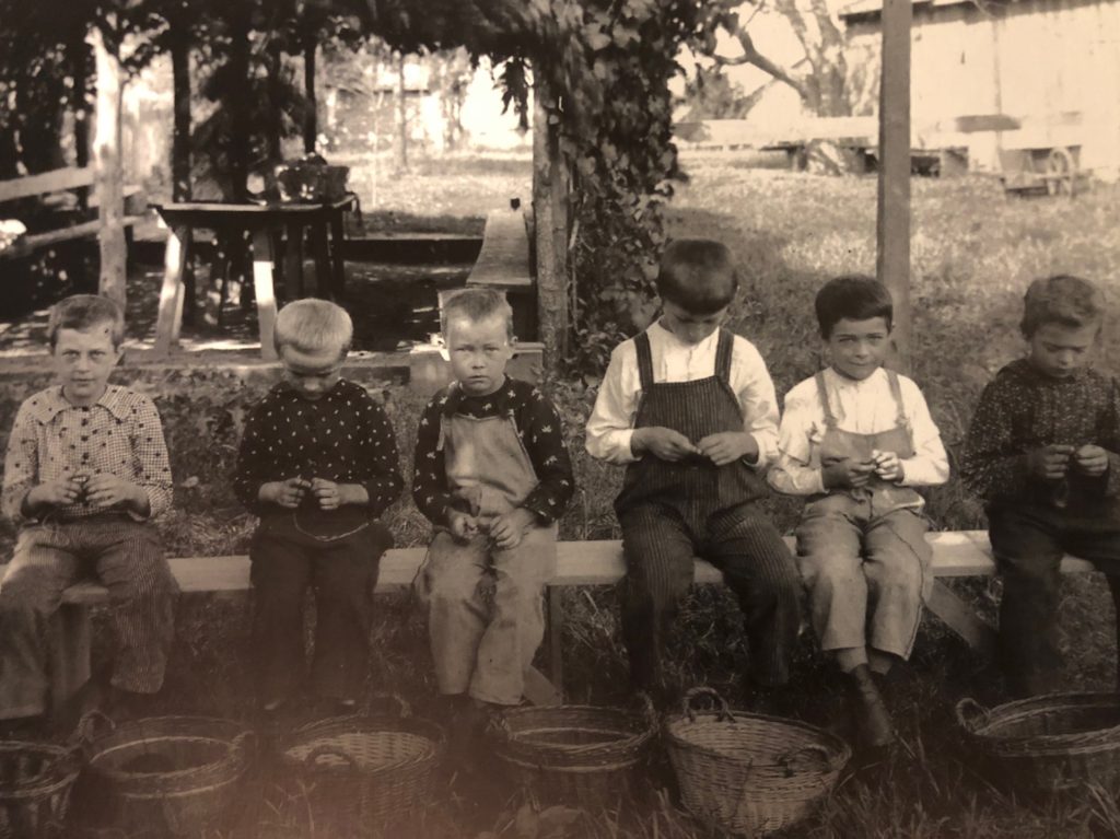 Even young children learned the craft of knitting. Photograph "Boys learning how to knit," from the Amana Heritage Society