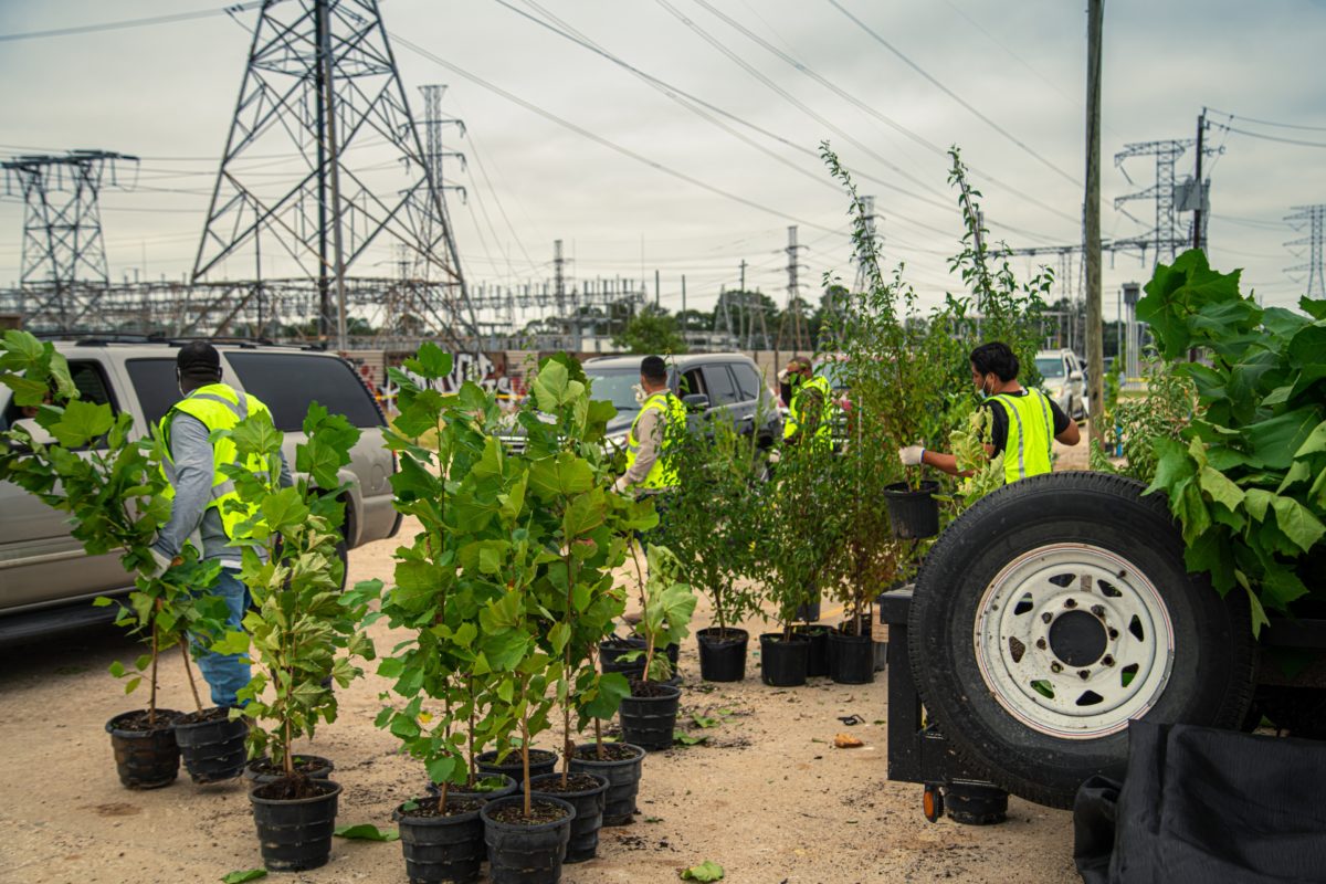 Trees for Houston Takes Root With a New Permanent Garden Oaks Campus