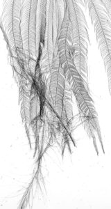 Dornith Doherty’s  “Crosswind,” 2019, at Holly Johnson Gallery