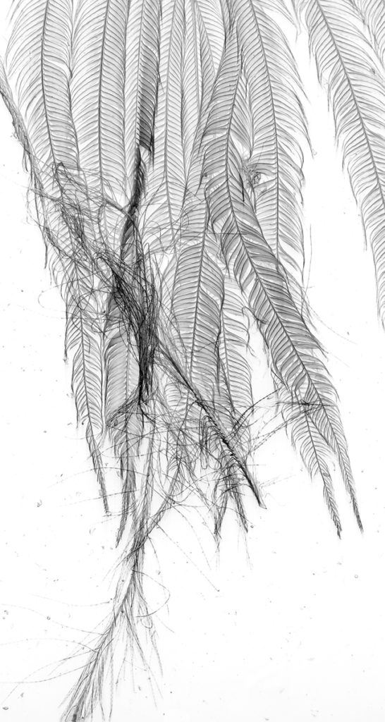 Dornith Doherty's 
"Crosswind," 2019, at Holly Johnson Gallery