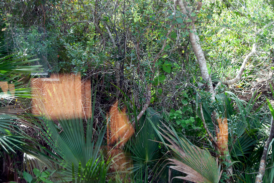 Houston artist and writer Regina Agu's work focuses on the complex relationships between the landscape and communities of color. Agu's "What Remains 04," 2015/2021. Courtesy Lawndale Art Center. 