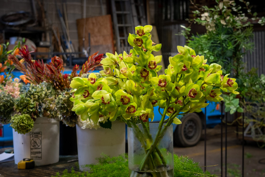 IN Bloom In.