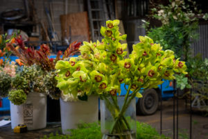 IN Bloom In.