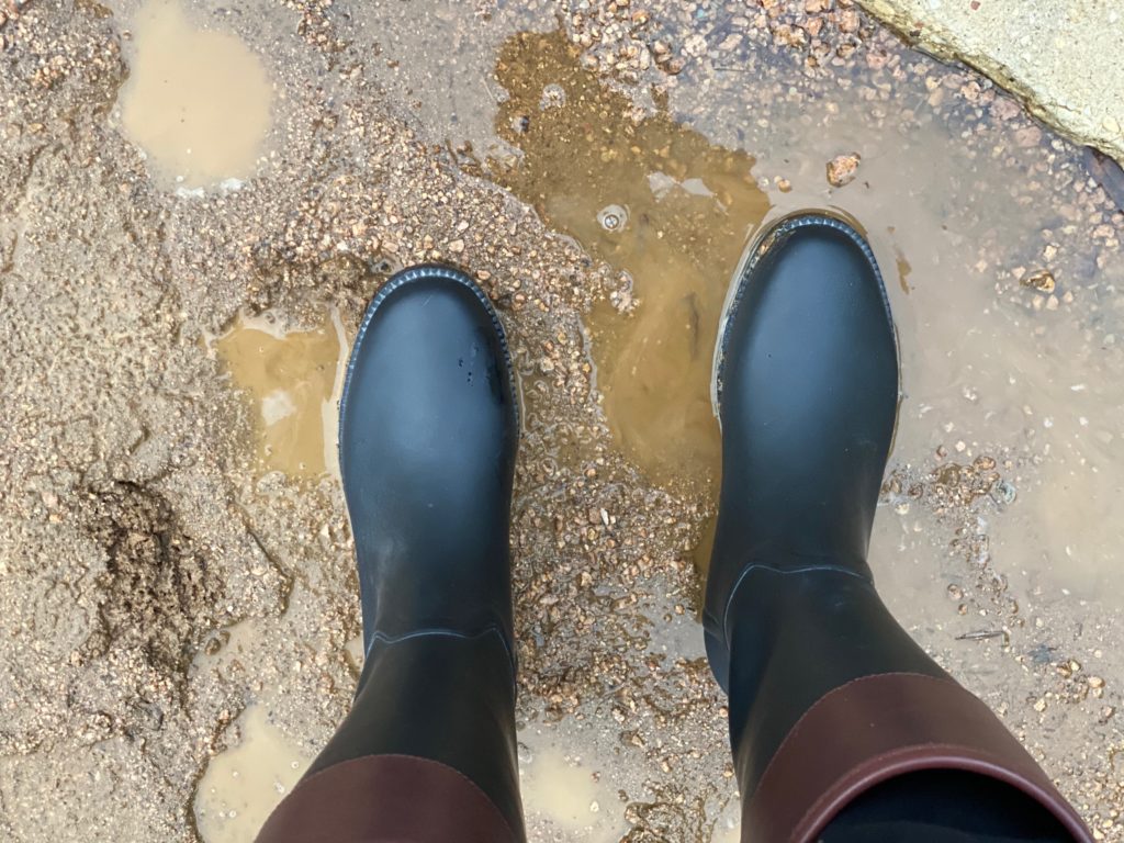  (Photo by Priscilla Dickson)