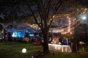 RWP_3845 (Photo by Wilson Parish)