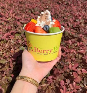 The Berry Bar Kings landing