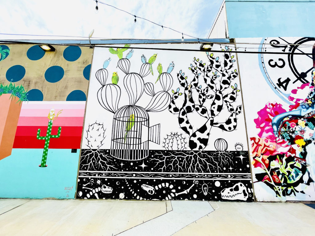 New murals make The Foundry District a must visit destination for locals and tourists to enjoy on foot or by bike. 