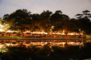 Hermann Park Conservancy Evening in the Park (Photo by Priscilla Dickson)