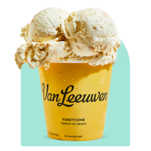 Vegan frozen dessert from Van Leeuwen Ice Cream
