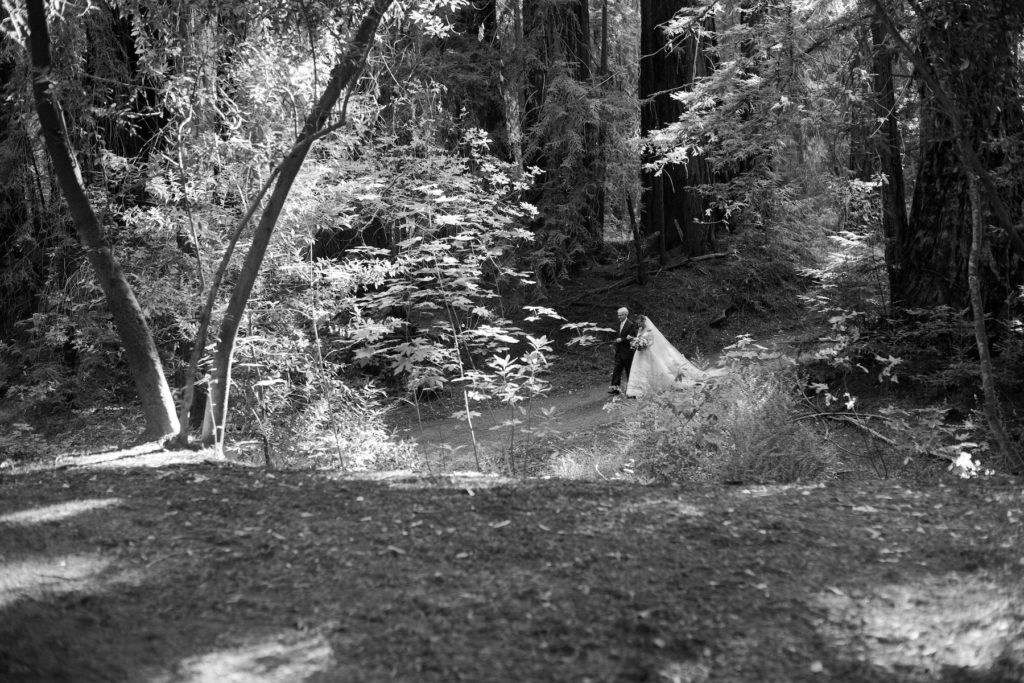 A fairytale ceremony in the Redwood Forest in the Santa Lucia Preserve. (Photo by Liz Banfield)