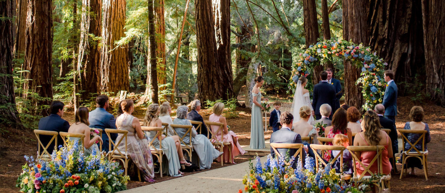 redwood forest wedding (Photo by Liz Banfield)