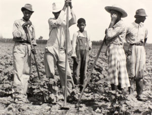 Grace Museum Art Exhibitions