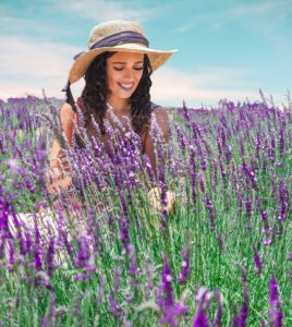 The Blanco Lavender Festival makes for some striking scenes.