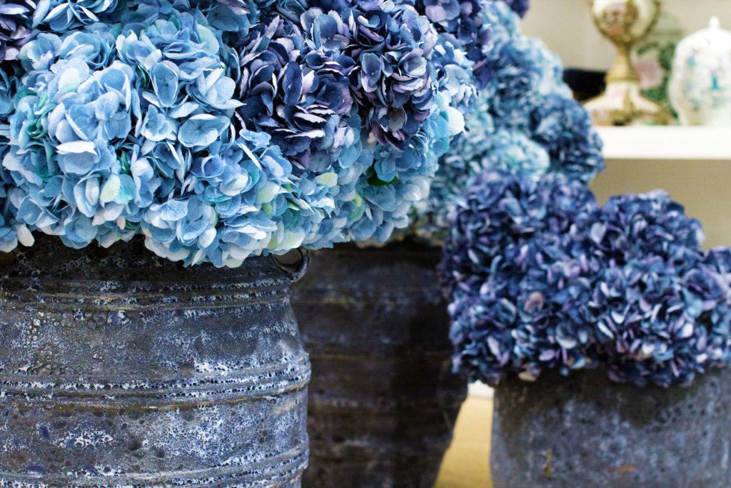 Blue hydrangeas make an impact. 
