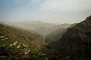 Ascension – The terraced coffee fields in Yemen’s mountainous Dhamar.