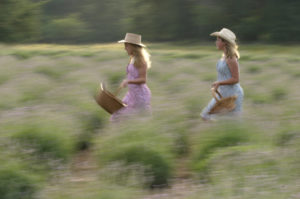 The Blanco Lavender Festival can be rollicking time in the fields.