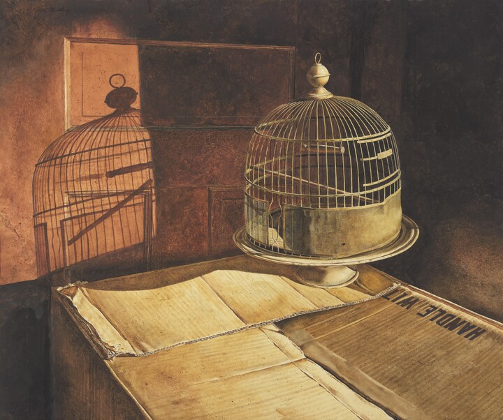 Carter- Bird Cage by Scott Gentling