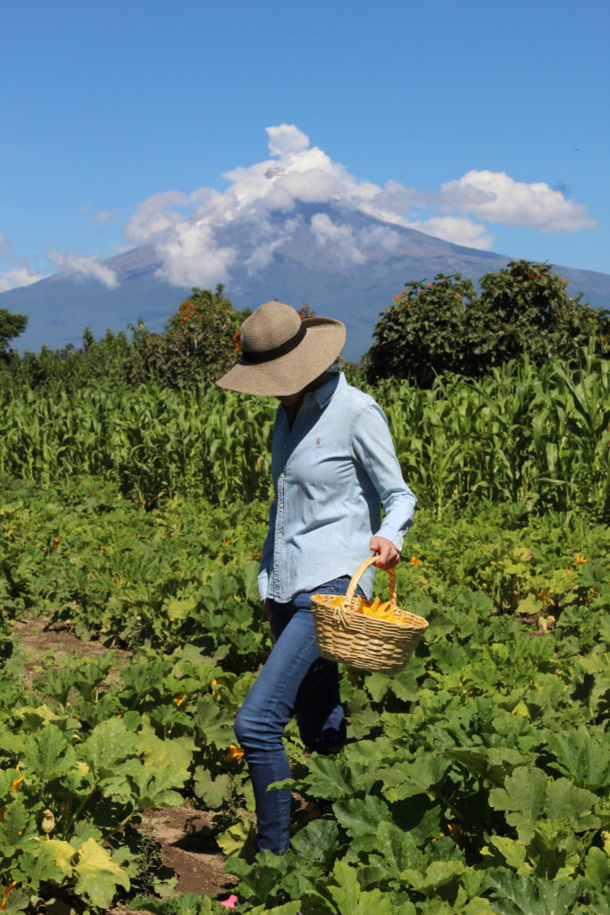 Chef Esmeralda Brinn in a nearby organic field with ‘El Popo’ ( Popocatépetl Volcano) in the background.