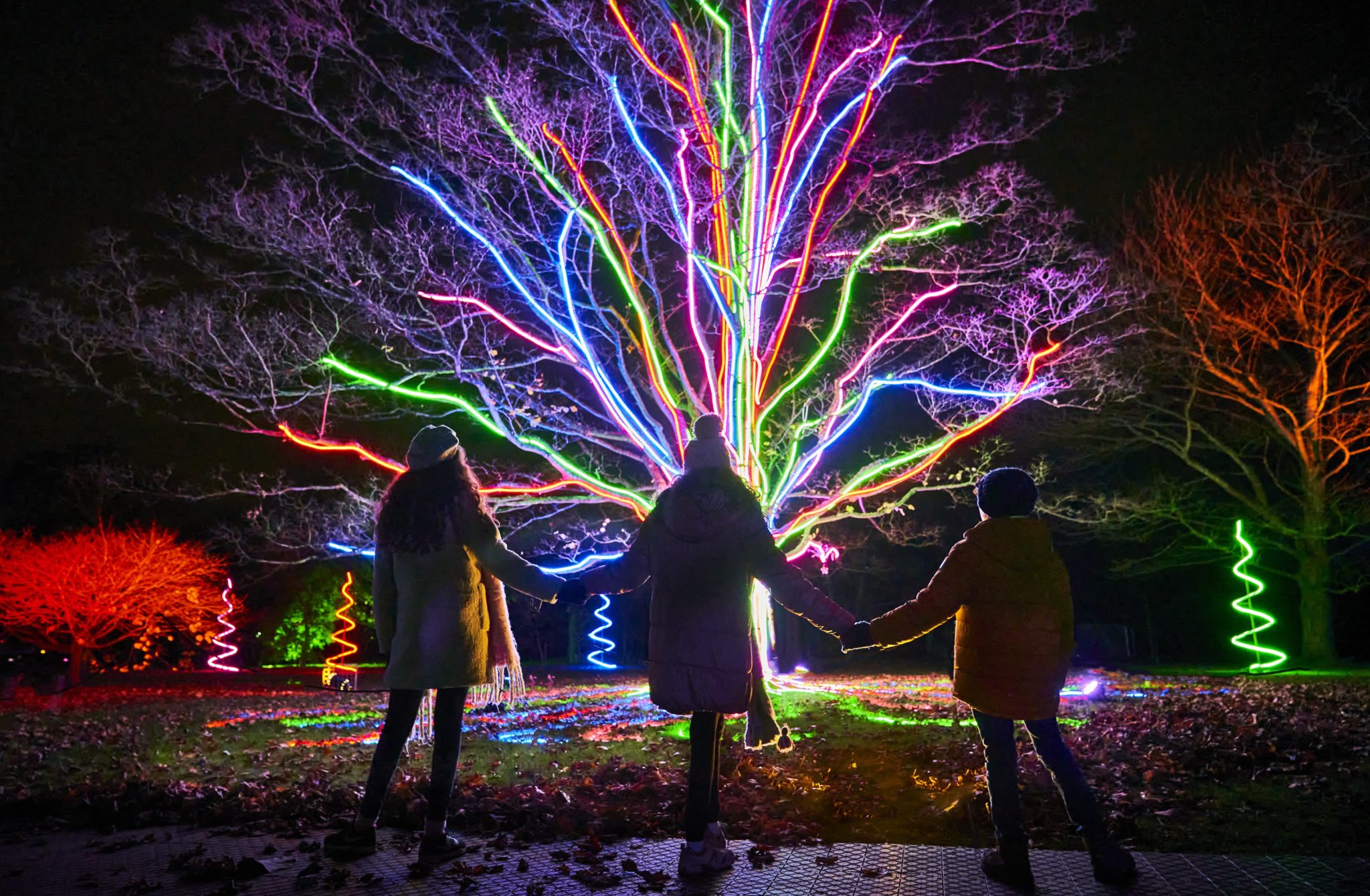 Botanic Garden Light Show 2024 Barbra Bellanca