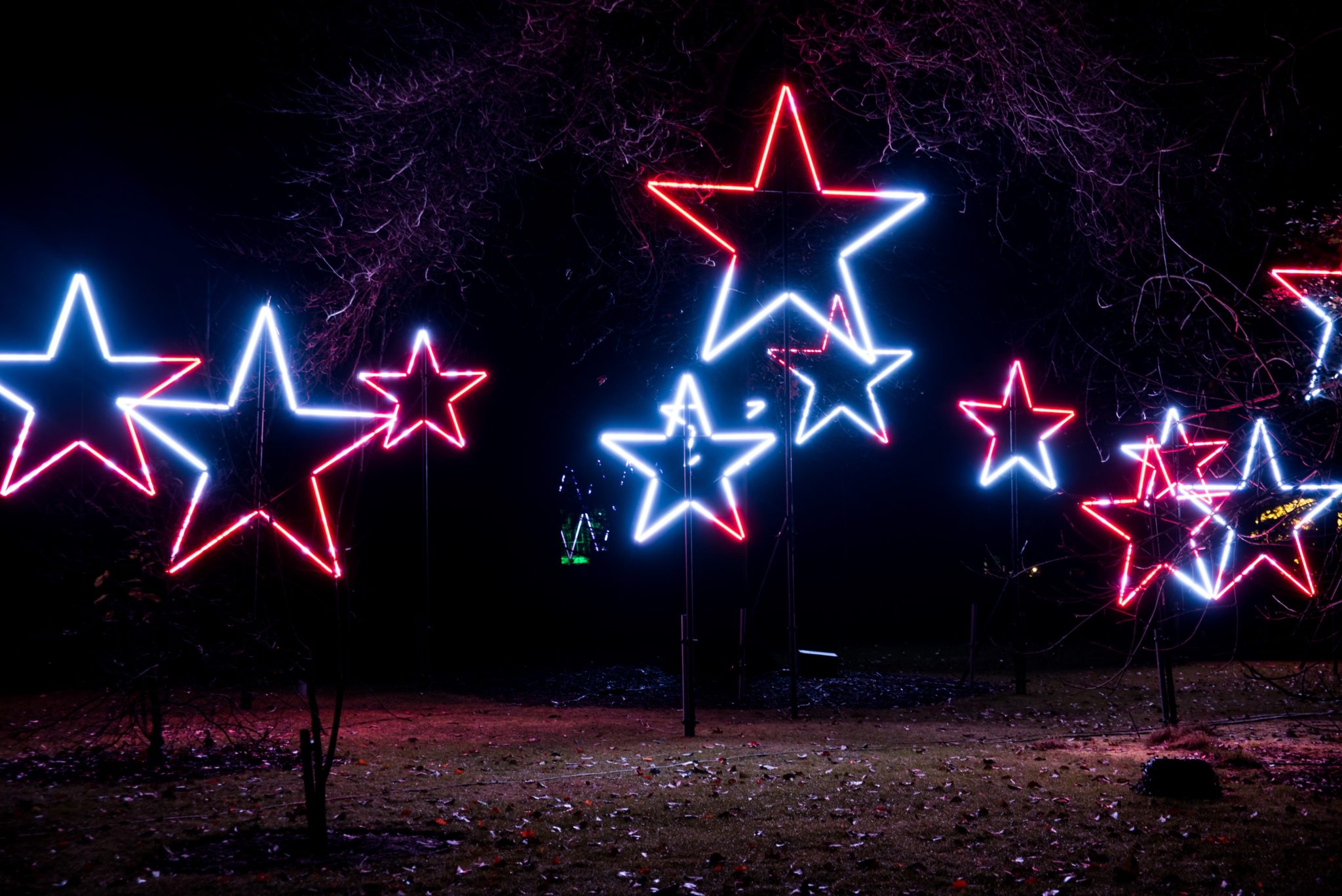 botanic garden lightscape tickets for sale botanic garden lightscape tickets for sale
