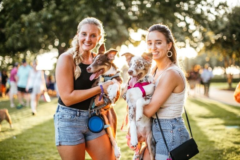 Addison After Dark Pups And Pints PaperCity Magazine