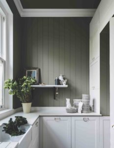Treron dark gray-green by Farrow & Ball