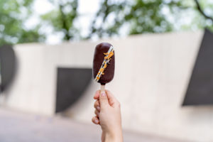 Chocolate Hazelnut Popsicle -EmilyChan-3