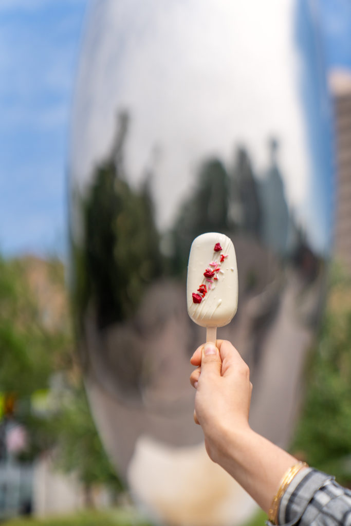 The vanilla fruitti di bosco popsicle at the Frozhen counter in Cafe Leonelli at the Museum of Fine Arts, Houston. (Photo by Emily Chan)