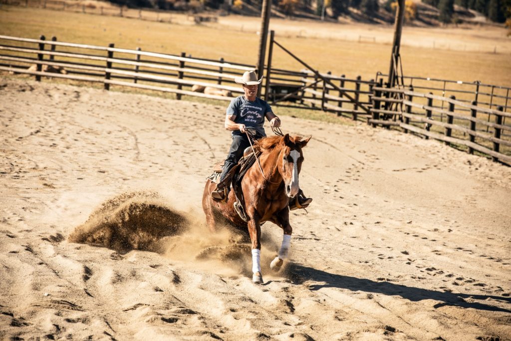 Creator Taylor Sheridan has been on a wild ride with the ever-expanding Yellowstone franchise.
