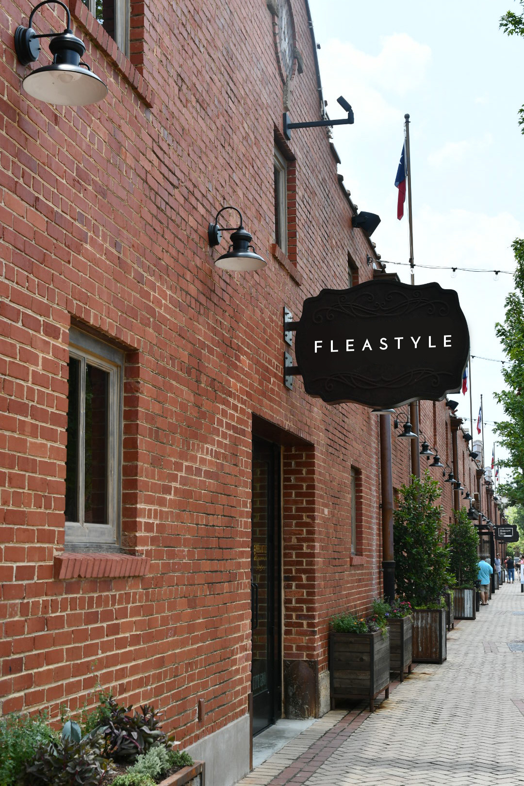 flea style mule alley