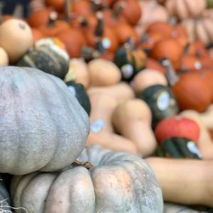 CM – If you can’t find it at Central Market, you probably don’t need it