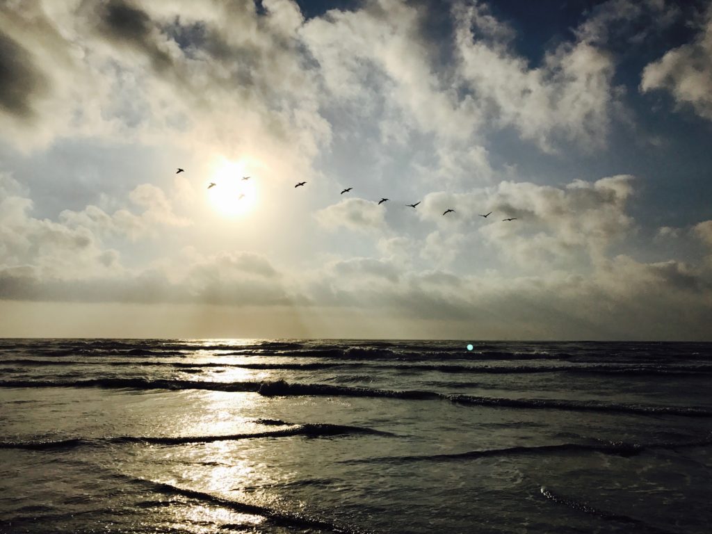 Natural wonders of the Gulf Coast.