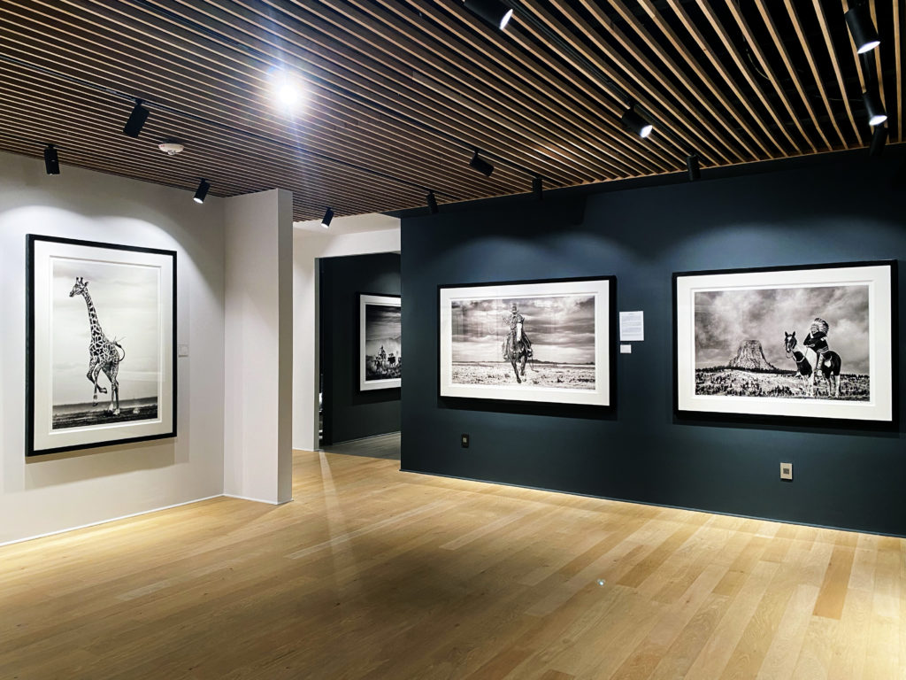 A bank of David Yarrow photographs underscores the artist's sensitivity to the world's wildlife. See Yarrow's image-making at CASA Houston, in a unique collaboration with Samuel Lynne Galleries.