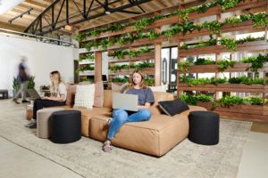 Habitat – 1 Coeval crafted seamless spaces like this wall of greenery