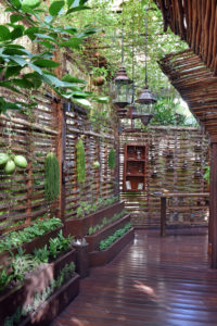 Kuxtal Sensory Garden