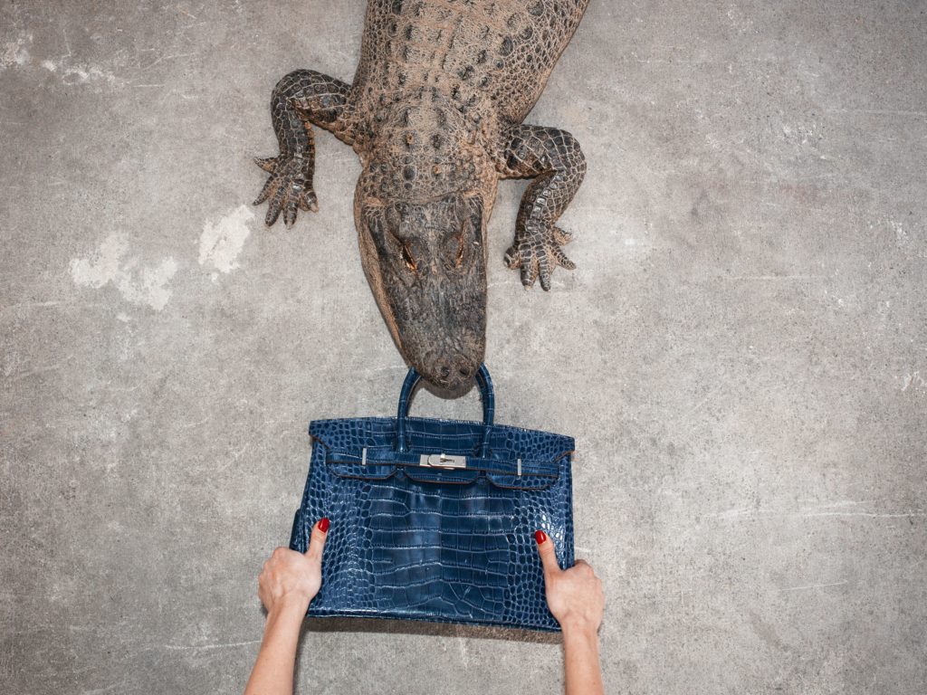 Tyler Shields' "Gator Birkin Hands," 2012, is among the stunning images presented at CASA Houston in the innovative showcase of art and design, representing a collaboration between this important showroom for Italian interiors brands and Samuel Lynne Galleries' avant-garde contemporary art.