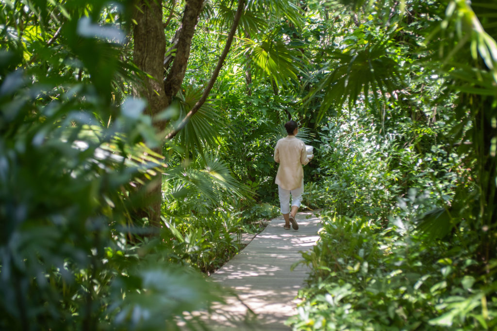 The spacious spa at Rosewood Mayakoba is located on an island with wooden paths through a lush jungle.