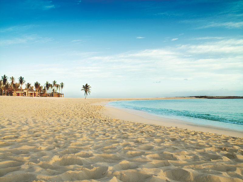 The Instagram-famous lone palm tree at the Atlantis is a bit of a Bahamas landmark. 