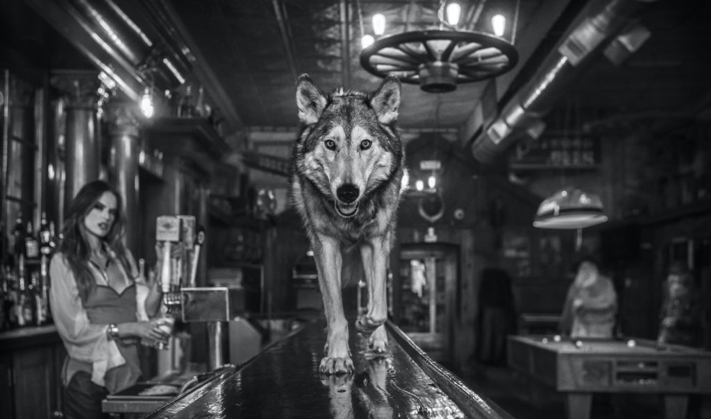 David Yarrow's" Friday Night at The Pioneer," represented by Samuel Lynne Galleries, will be presented at CASA Houston.