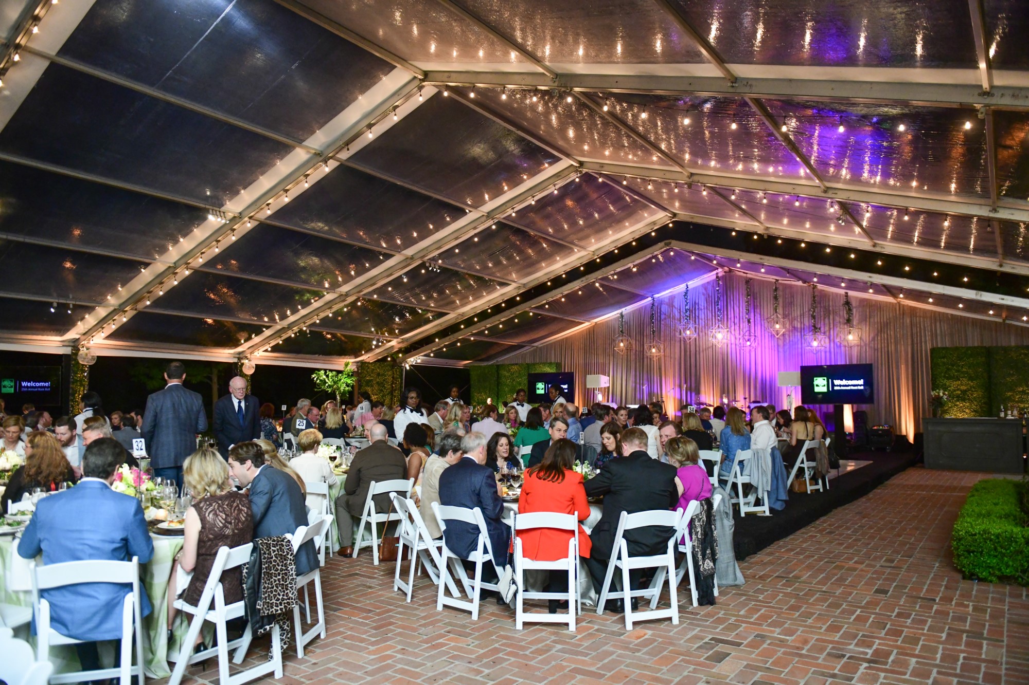 Trees For Houston Root Ball PaperCity Magazine