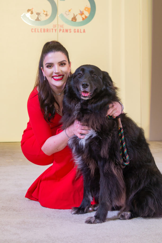 Celebrity Pet of the Year Baby with Mica Piro at the Citizens for Animal Protection Celebrity Paws gala, held at the Royal Sonesta. (Photo by Jacob Power)