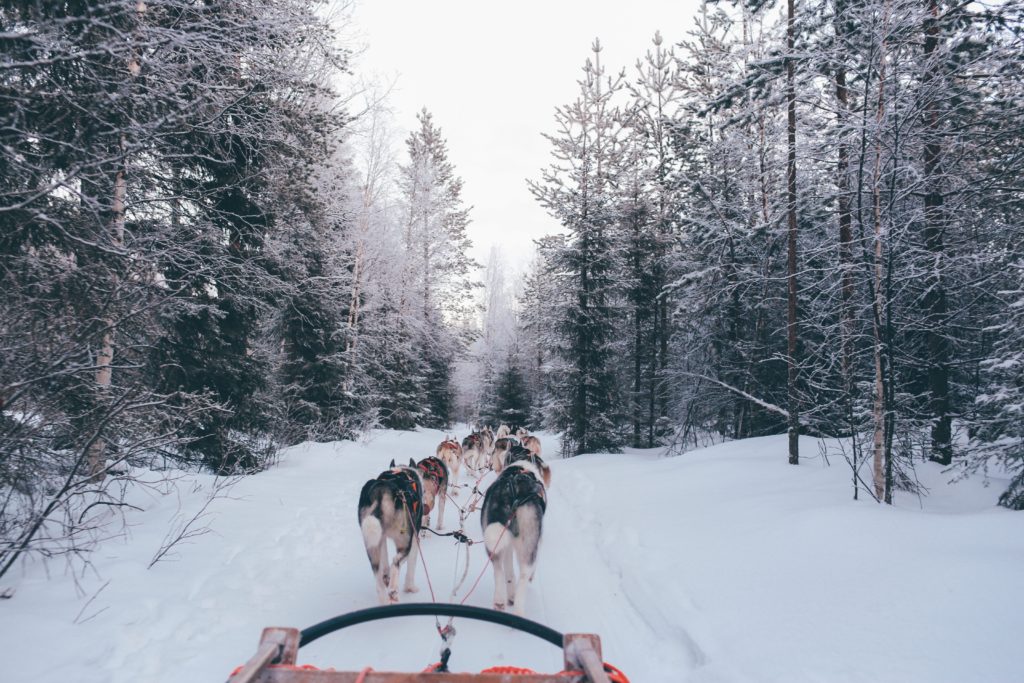 Dog sledding through backcountry in Maine (courtesy White Barn Inn, Auberge Resort Collection)